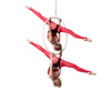 Aerial Hoop