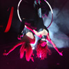 Aerial Hoop