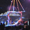 Duo Contortion
