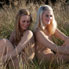 Modelling