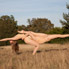Double Contortion