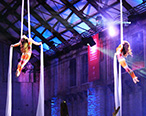 Aerial Silks