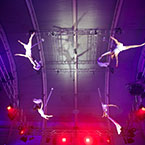 Aerial Silks