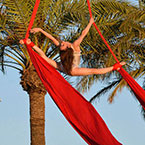 Aerial Silks