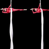 Aerial Silks