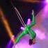 Circus, Aerial, Contortion, Acrobatics & Dance