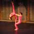 Circus, Aerial, Contortion, Acrobatics & Dance