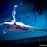 Circus, Aerial, Contortion, Acrobatics & Dance